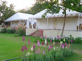 Jungle View Resort Saváj Madhopur Kültér fotó