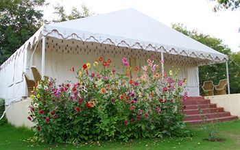 Jungle View Resort Saváj Madhopur Kültér fotó